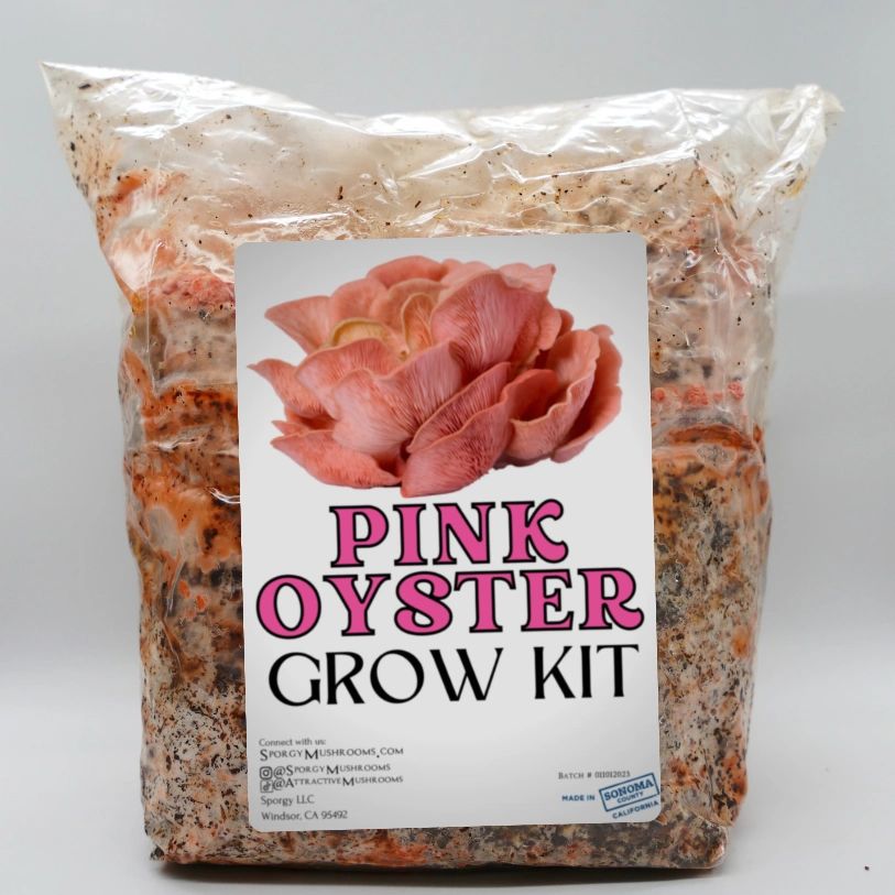 Pink Oyster Mushroom Grow Kit