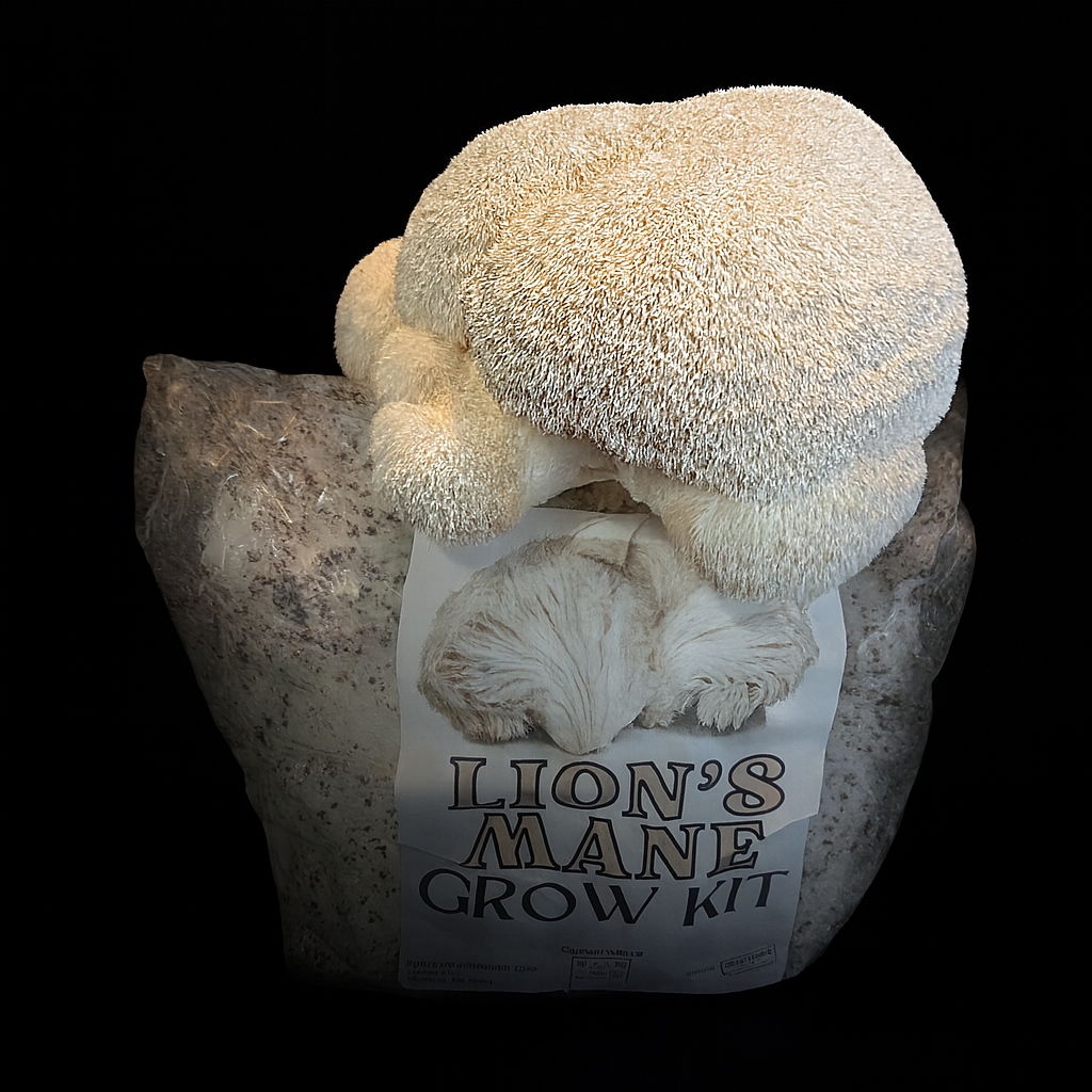 Mushroom Grow Kits