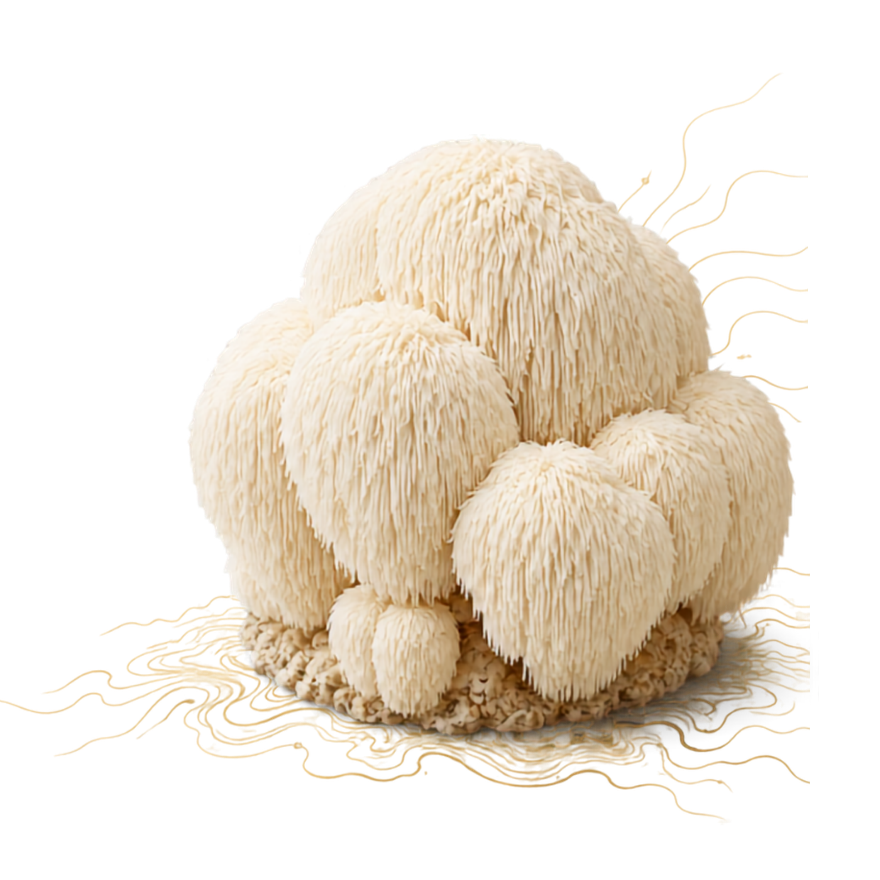 Lions Mane Mushroom Grow Kit