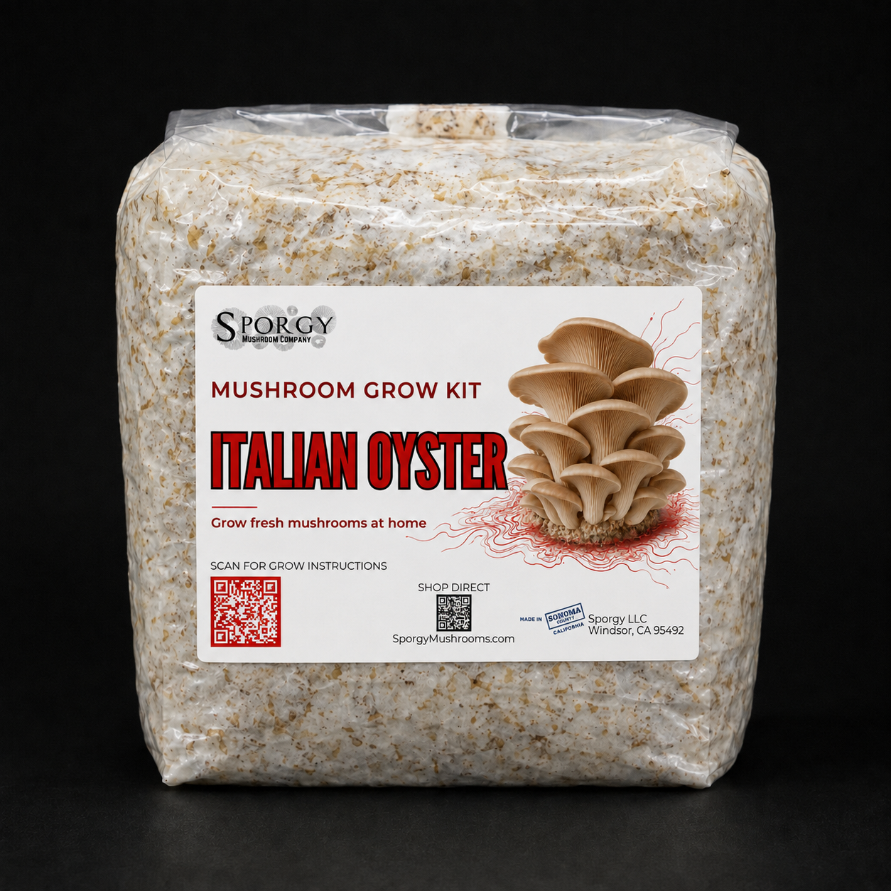 Italian Oyster Mushroom Grow Kit