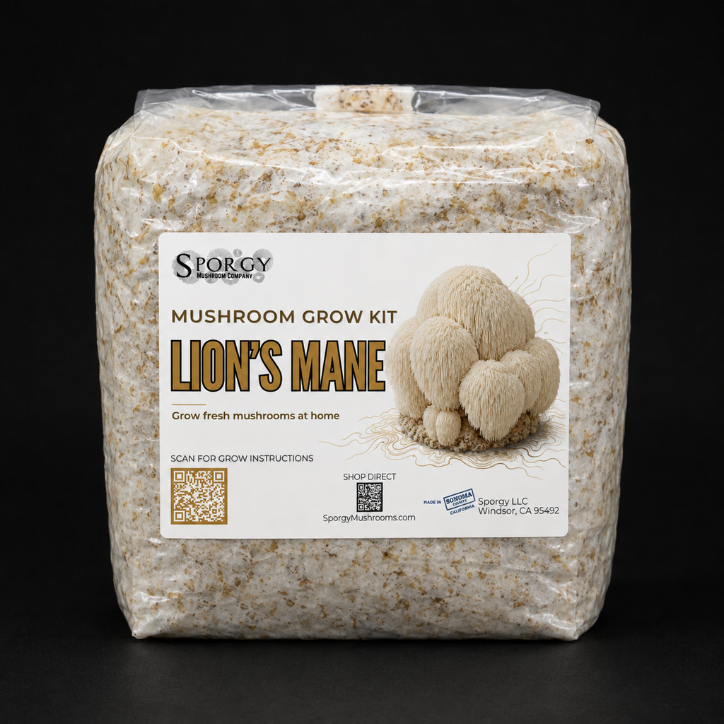 Lions Mane Mushroom Grow Kit