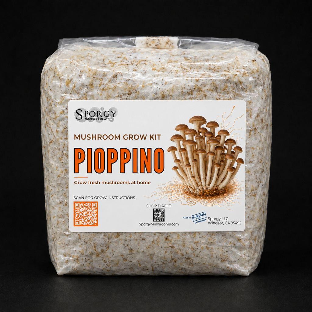 Pioppino Mushroom Grow Kit