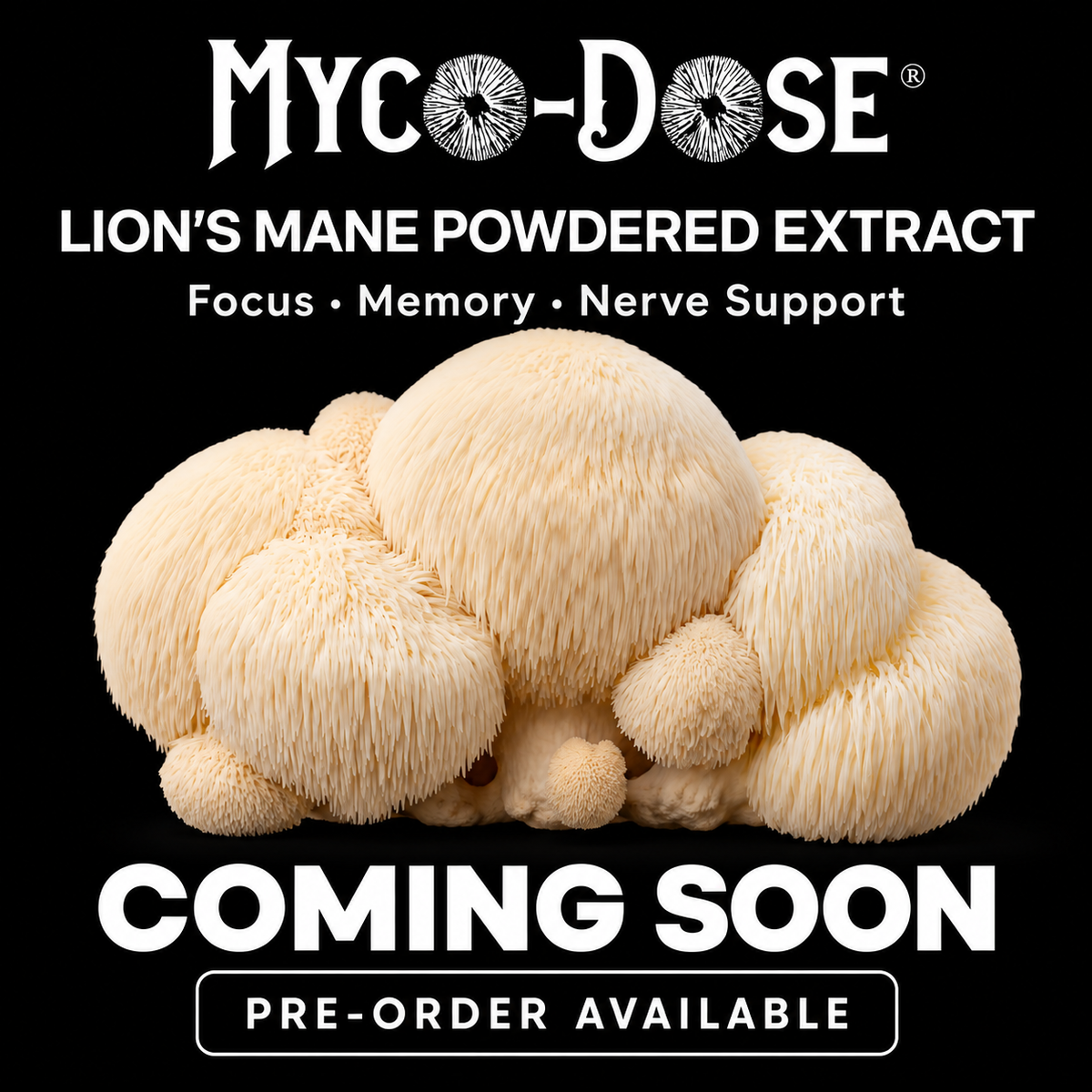 Myco-Dose® Lion's Mane Powdered Extract - Starter Pack