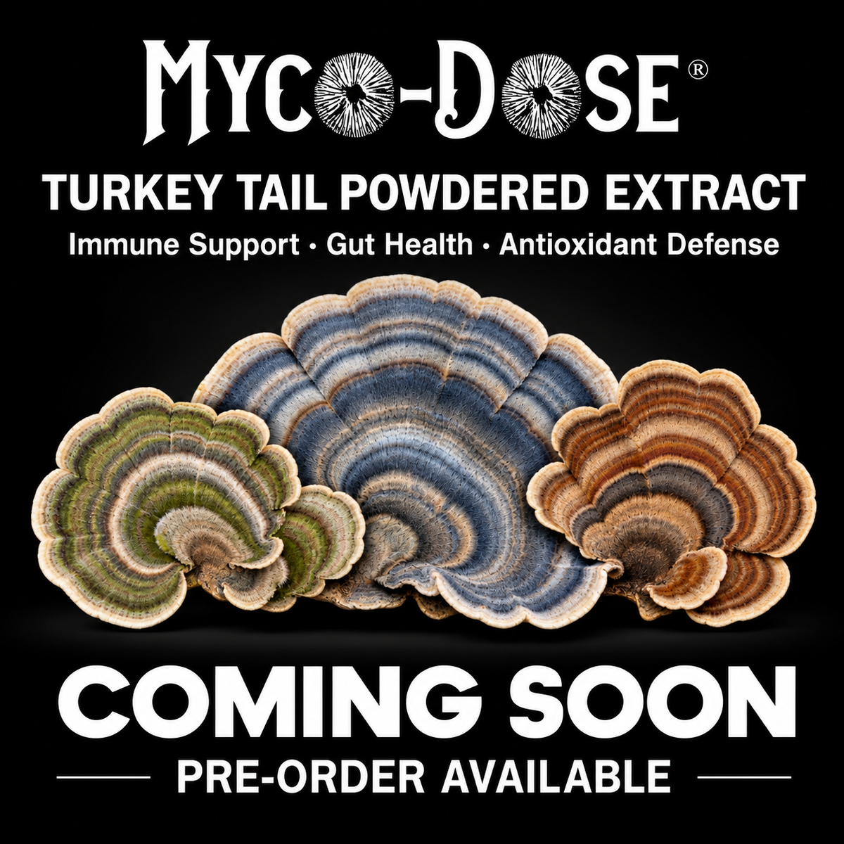 Myco-Dose® Turkey Tail Powdered Extract - Starter Pack