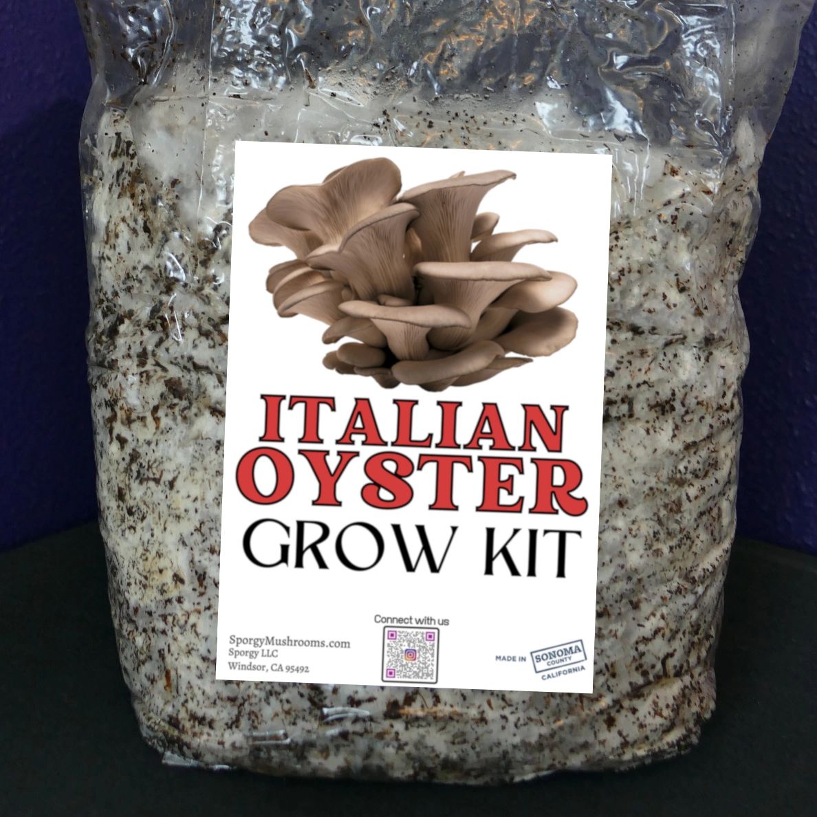 Italian Oyster Mushroom Grow Kit